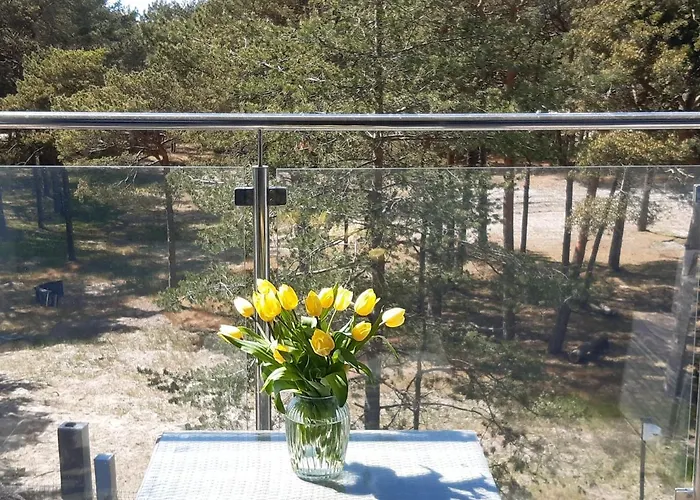 Apartamenty Pisakowe - Apartament Sledzik