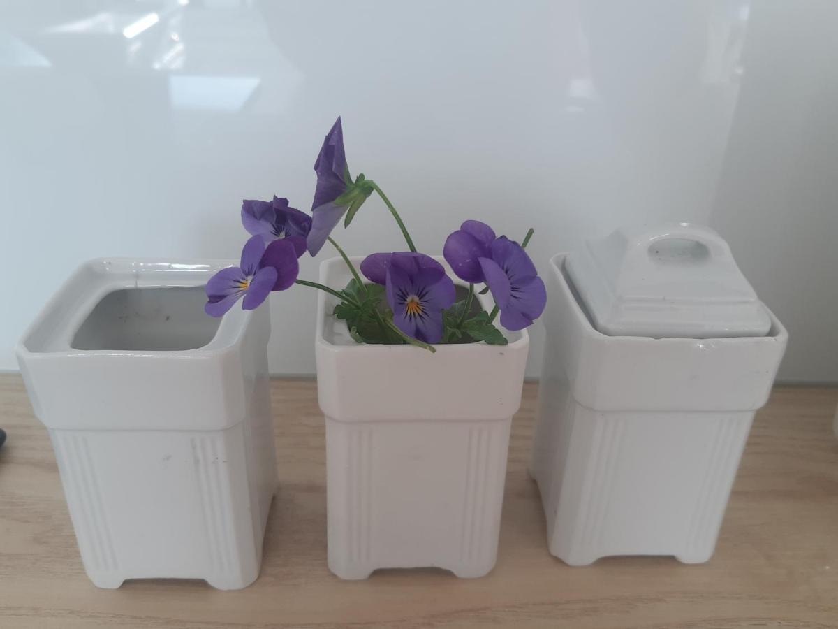 Apartment Pisakowe - Sledzik *