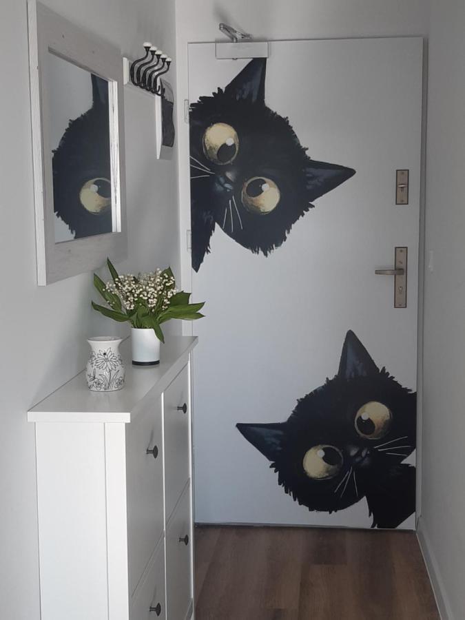 Apartment Pisakowe - Sledzik *